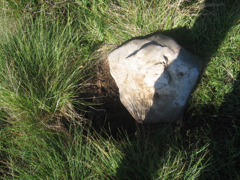 trag medvjeda kamen (5) [800x600].jpg